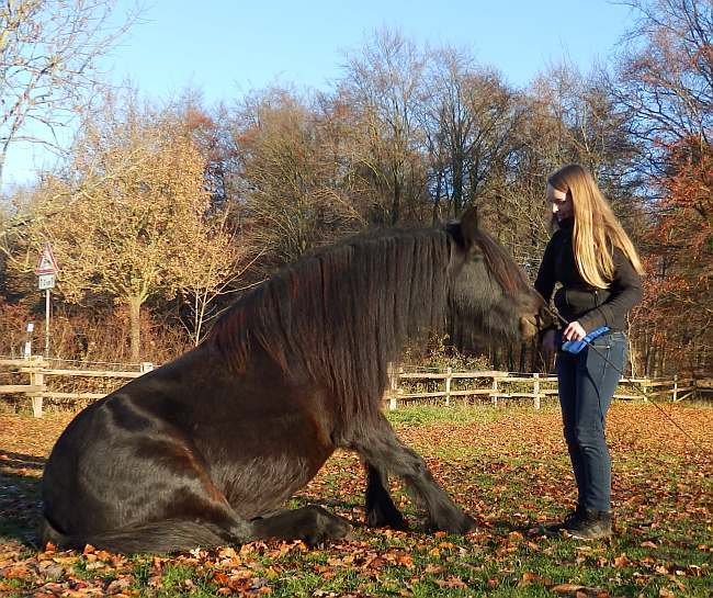 Kissme zirzensische Lektioen